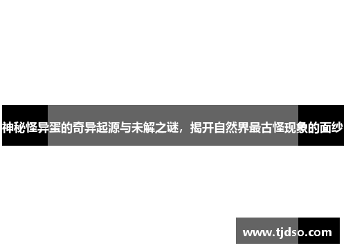 神秘怪异蛋的奇异起源与未解之谜,揭开自然界最古怪现象的面纱 神秘怪异蛋的奇异起源与未解之谜,揭开自然界最古怪现象的面纱
